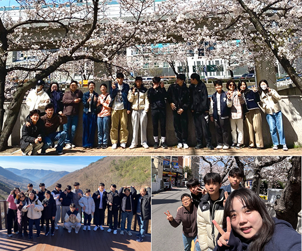 메인 사진
